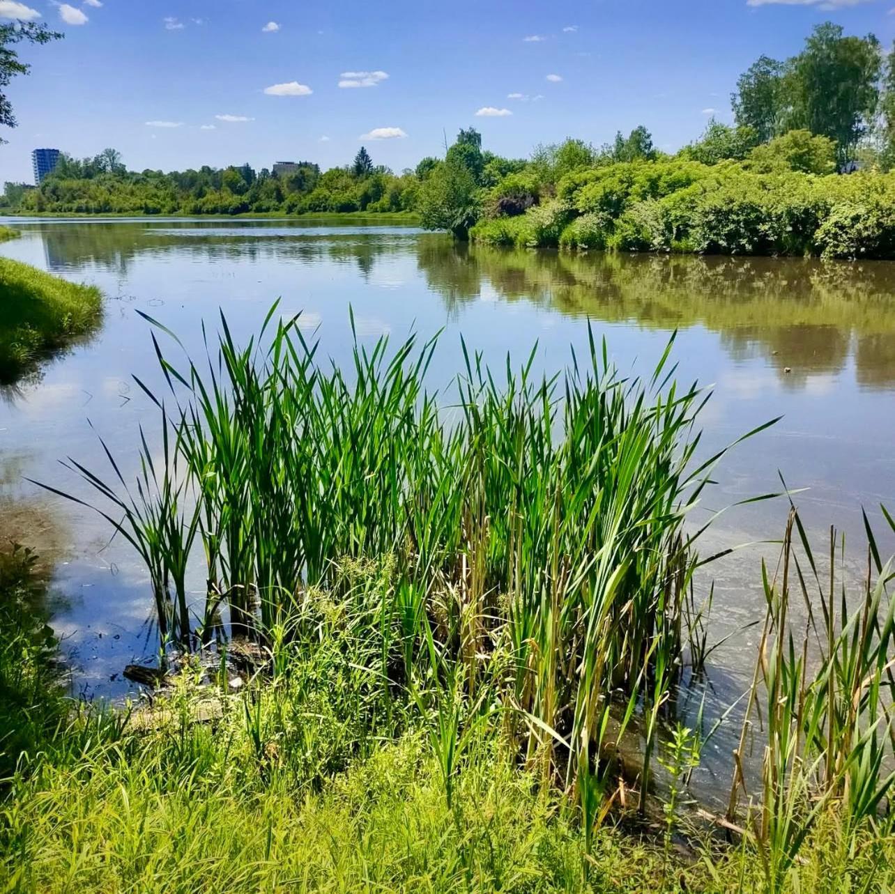 Apartamenty Kielce- Apartament Rubin Przy Zalew Kielecki, Faktura, Parking, Centrum Zewnętrze zdjęcie
